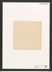 Diatomeae indet. Zeichnungen Sammlung Grunow (NHMW-BOT-W0368404)